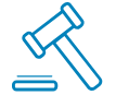 Litigation Support